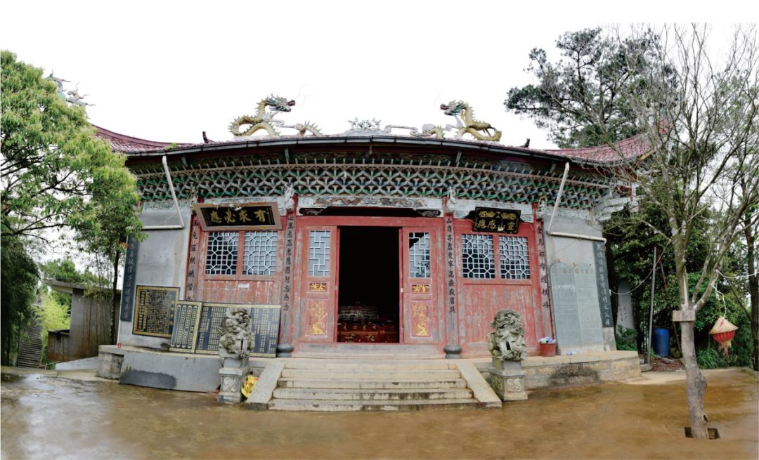 打卡好西乡！桃花胜*光春**，佳人已成双