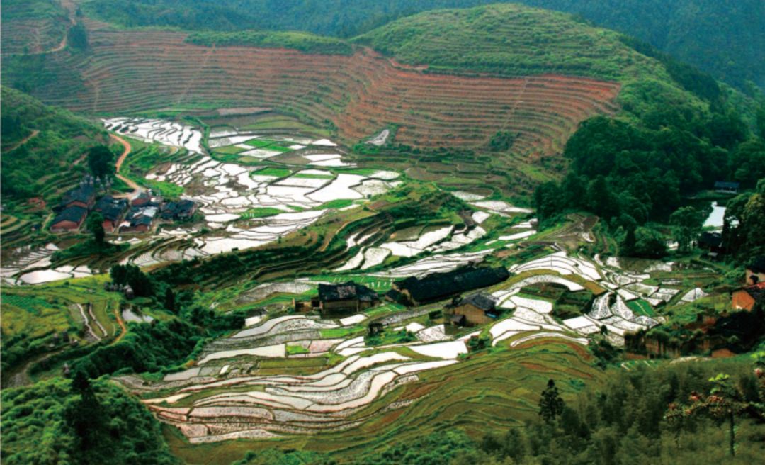 打卡好西乡！桃花胜*光春**，佳人已成双