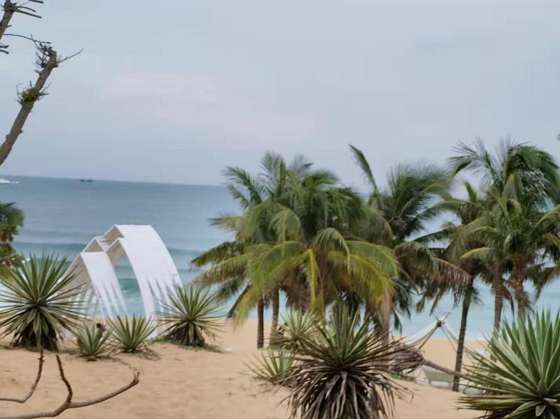 张月音‖到三亚的呆呆岛发呆