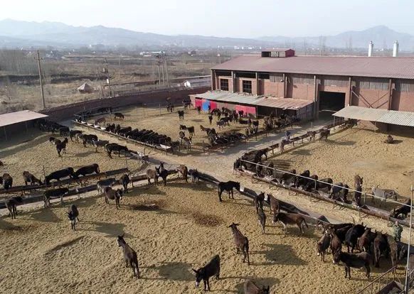 宣化球团厂,宣化球团厂图片