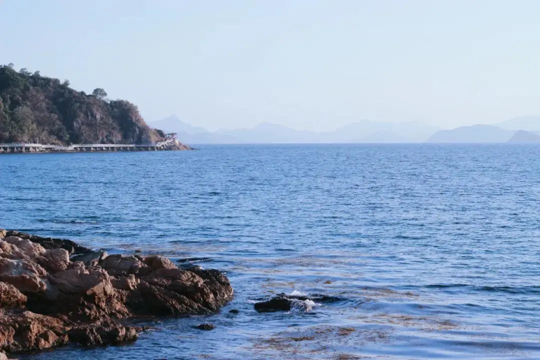 你好,我叫深圳,这是我的简历