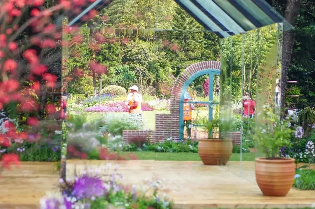 你好,我叫深圳,这是我的简历