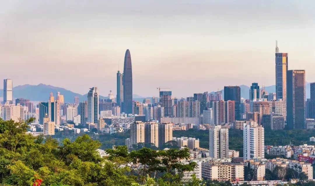 你好,我叫深圳,这是我的简历