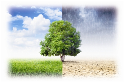 生态环境部公开3家生活垃圾焚烧发电厂环境违法行为查处情况