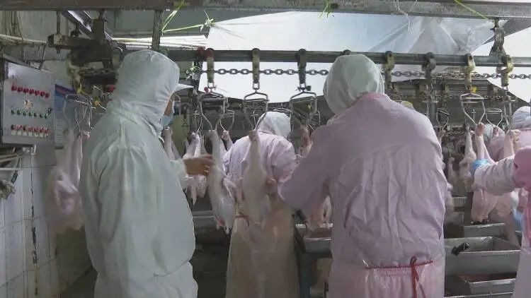 家门口就业群众更幸福,家门口就业让我致富有了新方法