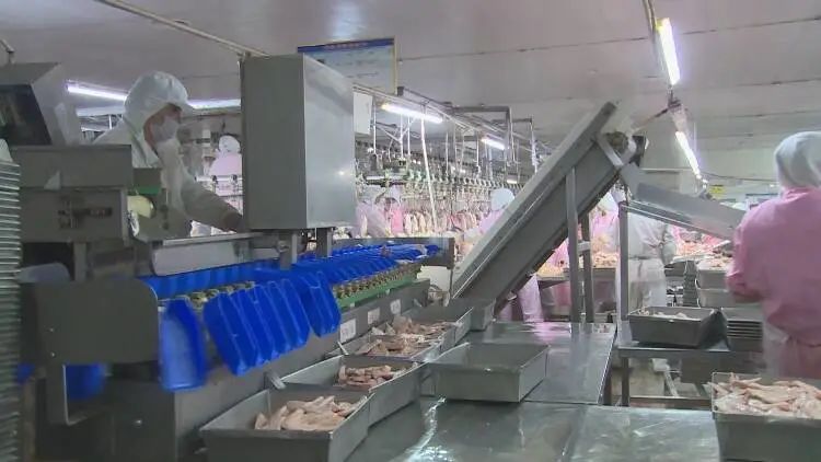 家门口就业群众更幸福,家门口就业让我致富有了新方法