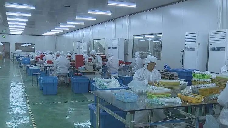 家门口就业群众更幸福,家门口就业让我致富有了新方法