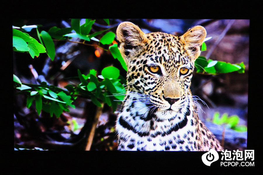 小米redmimax86电视评测,redmimax86寸电视开箱需要激活吗