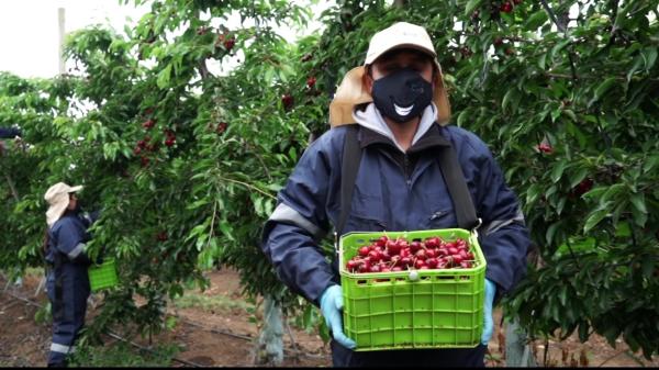 鏂拌タ鍏拌繘鍙ｇ寱鐚存,鏂拌タ鍏板師瑁呰繘鍙ｇ寱鐚存