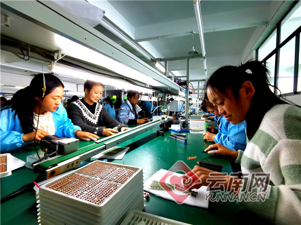 曲靖全力巩固拓展脱贫攻坚成果,云南巩固脱贫成果曲靖