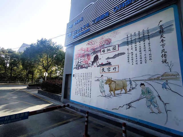 松江大学城“萌牛”出没!新晋打卡地的背后,有这群95后普法团队