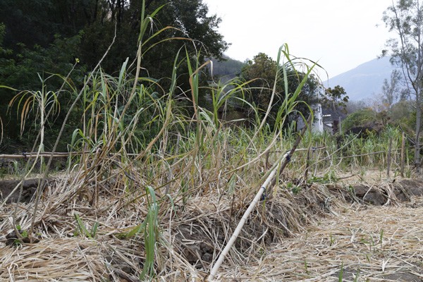 “这是甜甜蜜蜜新生活的开始”——老万搬家记