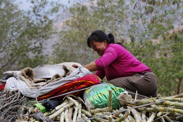 “这是甜甜蜜蜜新生活的开始”——老万搬家记