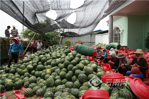 云南省瑞丽市整体建设规划图,云南瑞丽发展机遇