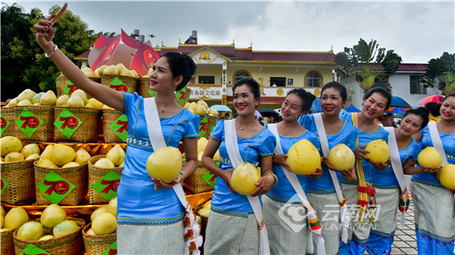 云南省瑞丽市整体建设规划图,云南瑞丽发展机遇