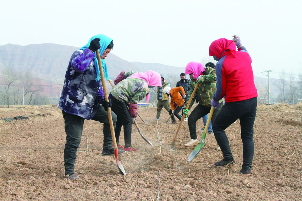河湟大地暖流涌动,河湟大地抓项目热火朝天