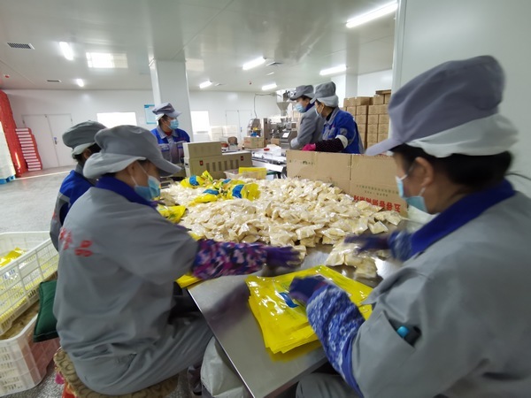 春耕备耕激昂音乐,奏响春耕复工曲