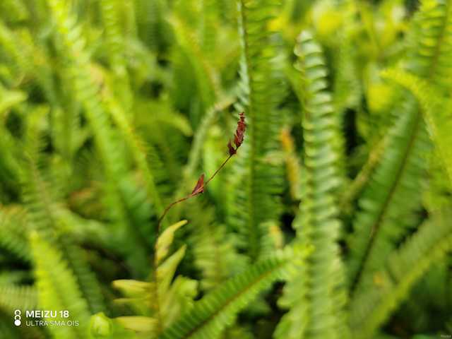 魅族18系列旗舰手机,魅族18是握持手感最好的手机吗