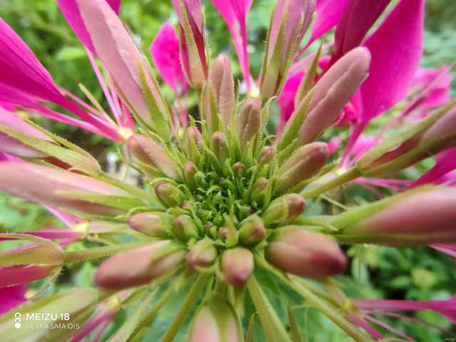 魅族18系列旗舰手机,魅族18是握持手感最好的手机吗