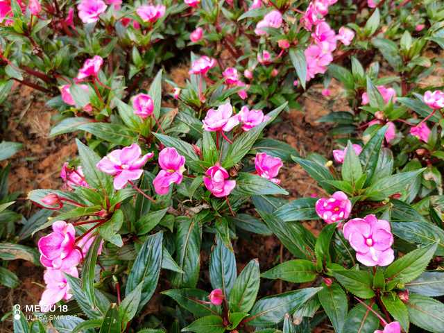 魅族18系列旗舰手机,魅族18是握持手感最好的手机吗