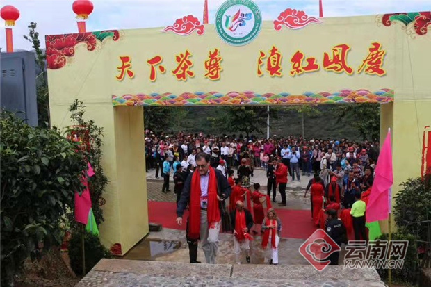 我和“茶尊”有个约会