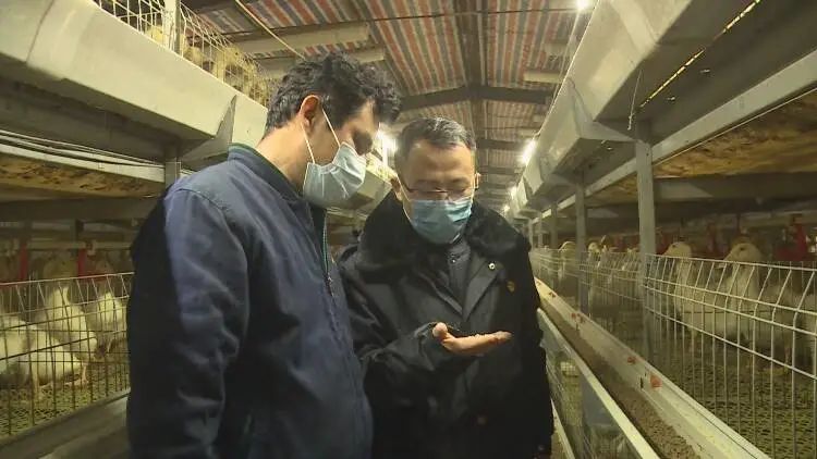 山东成武有名的企业,成武企业发展前景