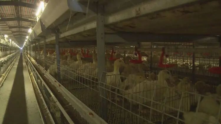 山东成武有名的企业,成武企业发展前景