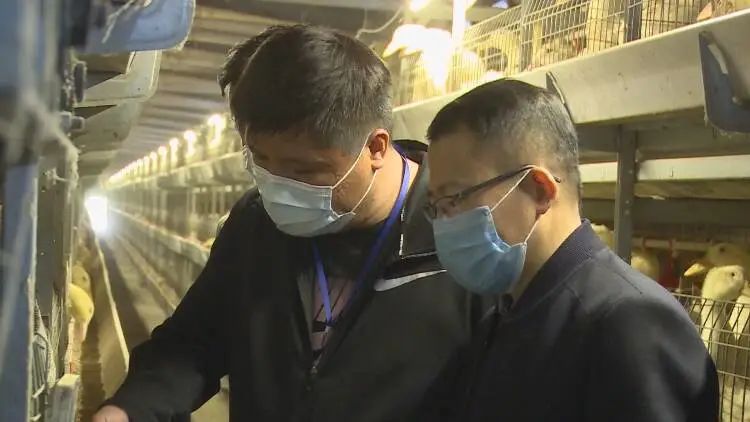 山东成武有名的企业,成武企业发展前景