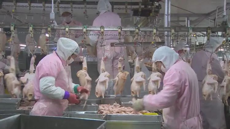 山东成武有名的企业,成武企业发展前景