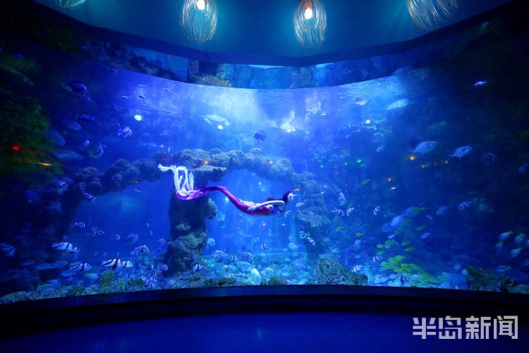 半岛聚焦丨今天我是你:女记者变身美人鱼,“变美”并不容易