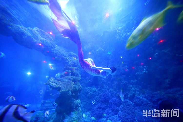 半岛聚焦丨今天我是你:女记者变身美人鱼,“变美”并不容易