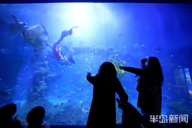 半岛聚焦丨今天我是你:女记者变身美人鱼,“变美”并不容易