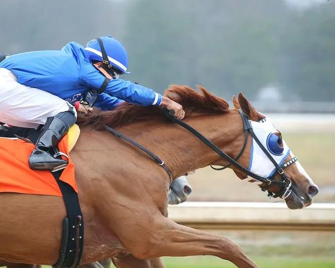 迪拜世界杯赛程,迪拜世界杯小组赛