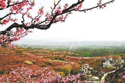 南阳赏花最佳地点,南阳市民赏花踏青乐享春日好时光