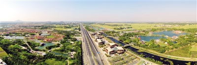 南阳赏花最佳地点,南阳市民赏花踏青乐享春日好时光