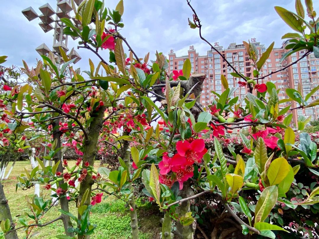 什邡风景好看的地方,什邡附近比较有名的景色
