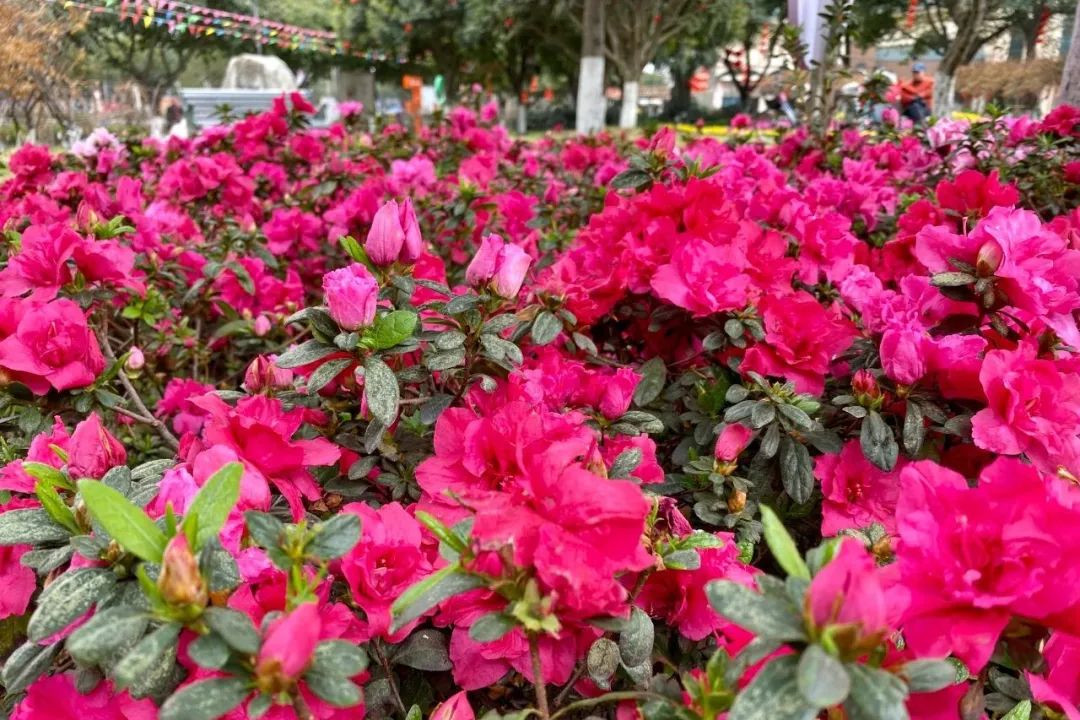什邡风景好看的地方,什邡附近比较有名的景色