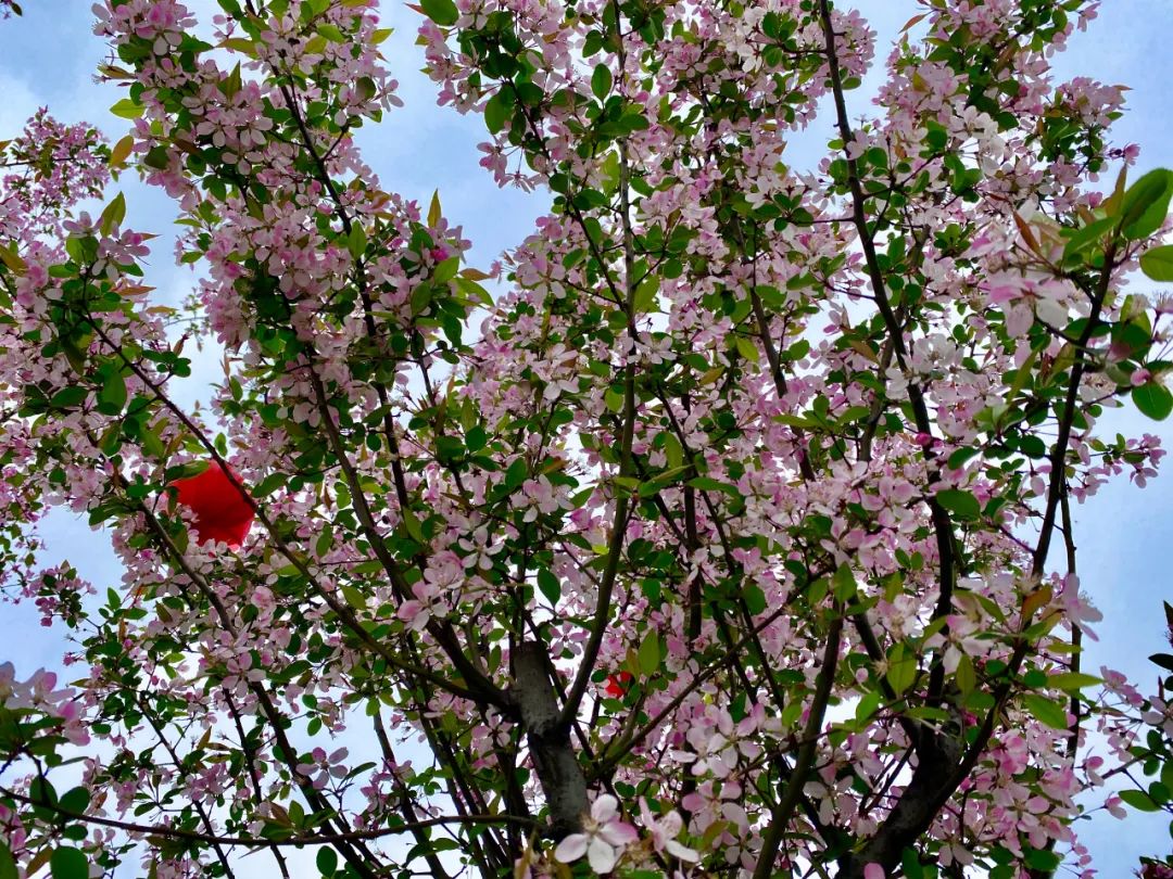 什邡风景好看的地方,什邡附近比较有名的景色