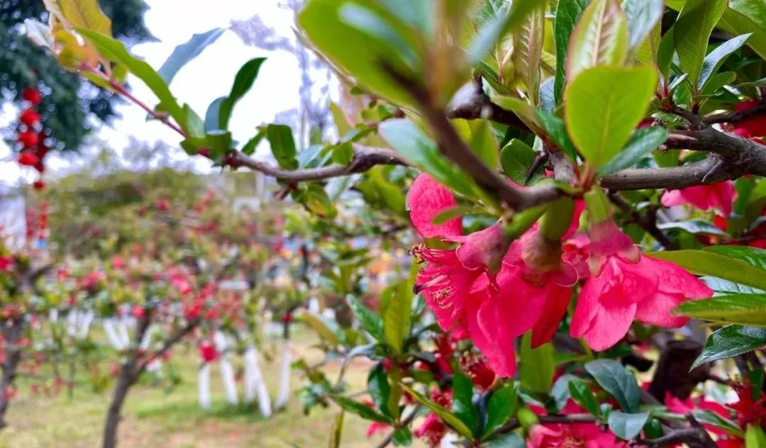 什邡风景好看的地方,什邡附近比较有名的景色