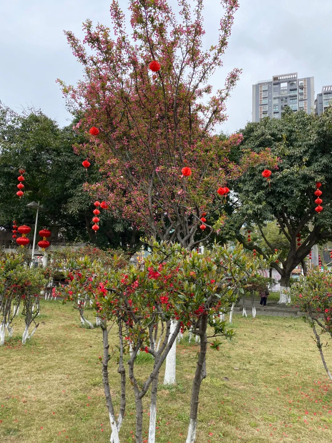 什邡风景好看的地方,什邡附近比较有名的景色