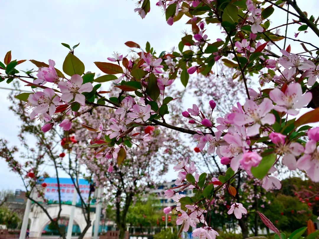 什邡风景好看的地方,什邡附近比较有名的景色