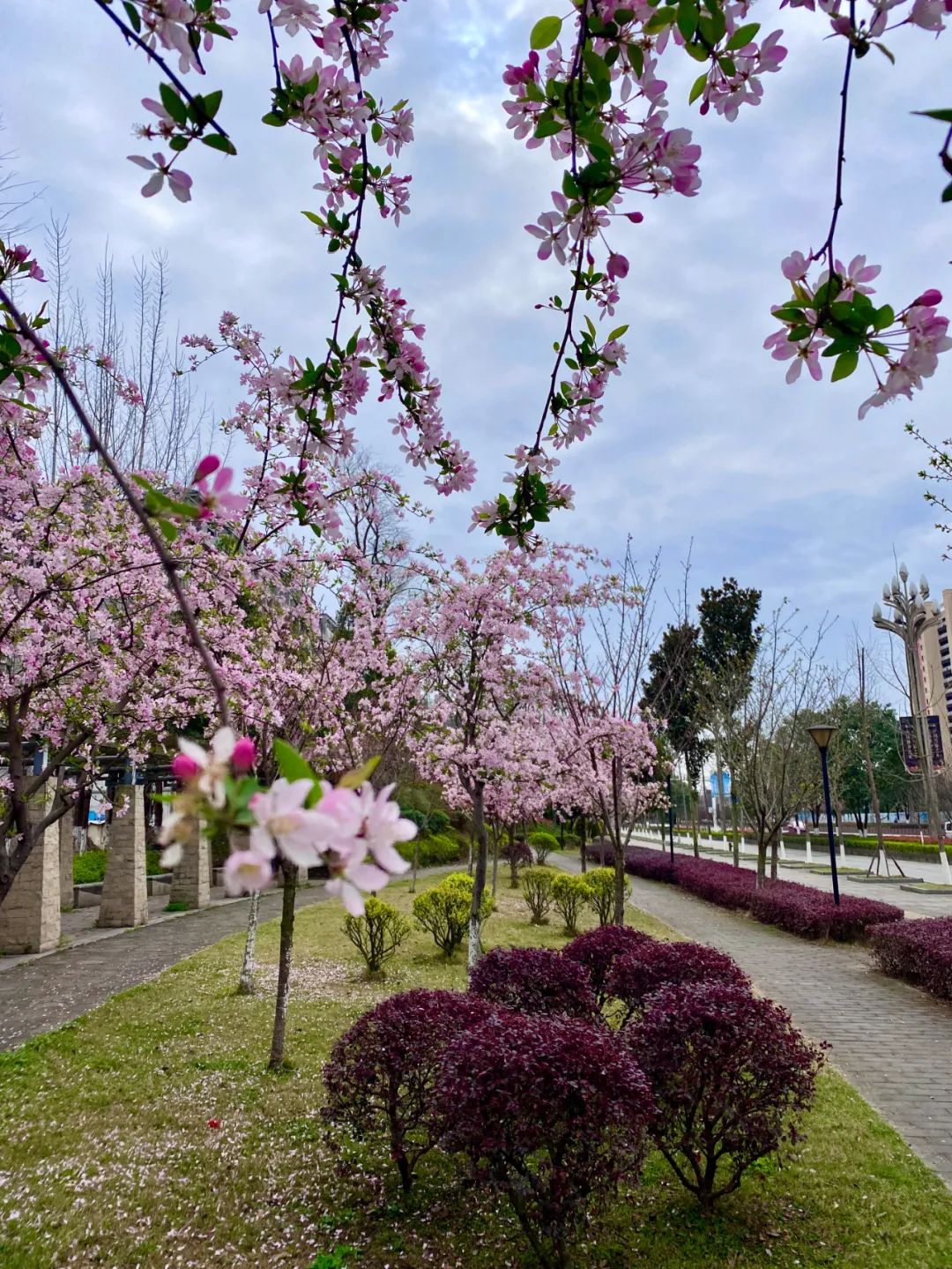 什邡风景好看的地方,什邡附近比较有名的景色
