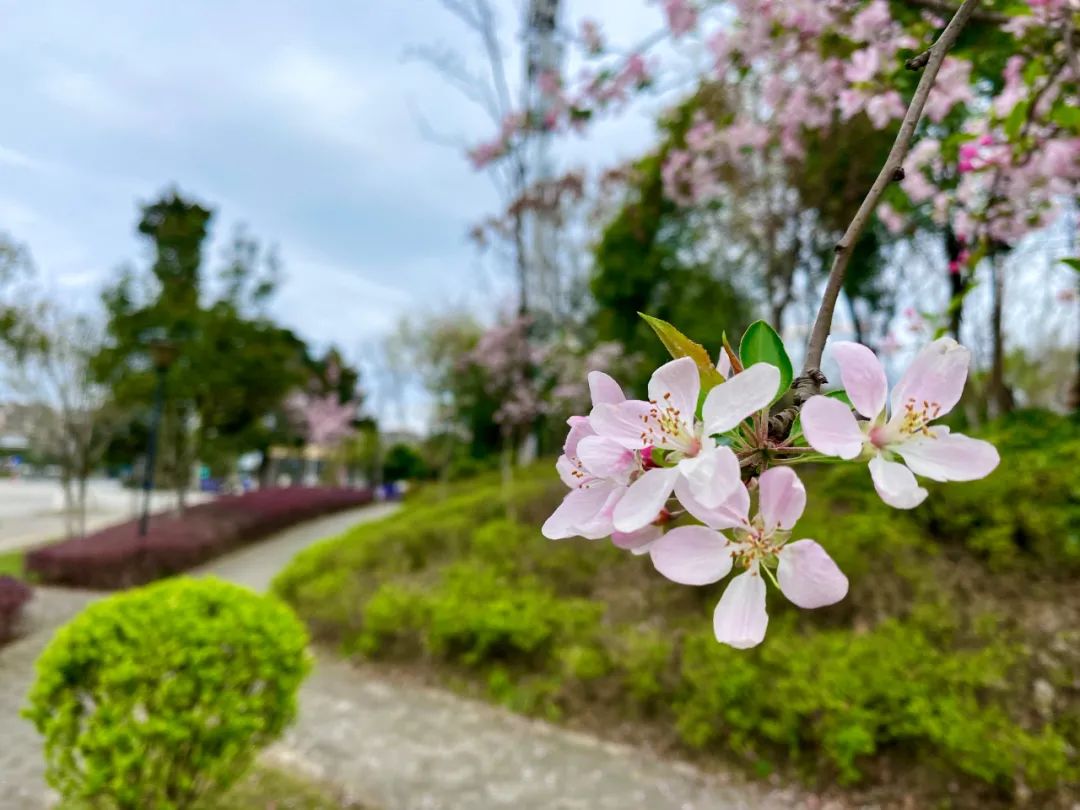 什邡风景好看的地方,什邡附近比较有名的景色