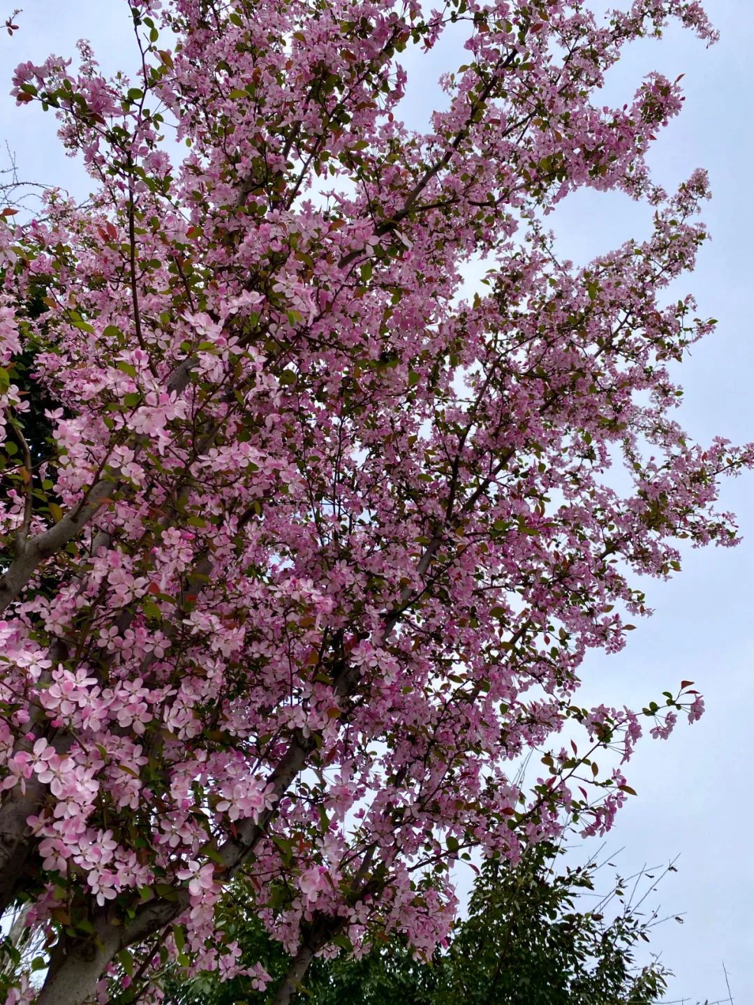 什邡风景好看的地方,什邡附近比较有名的景色