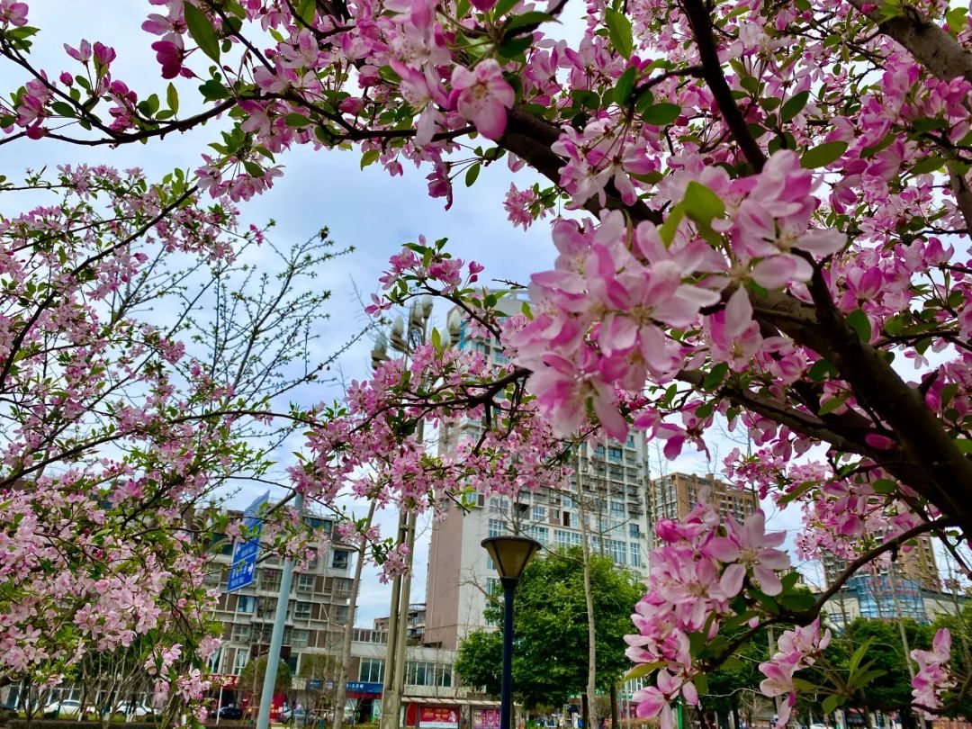 什邡风景好看的地方,什邡附近比较有名的景色