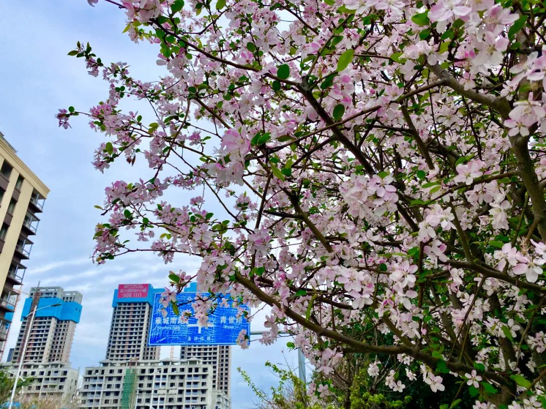 什邡风景好看的地方,什邡附近比较有名的景色