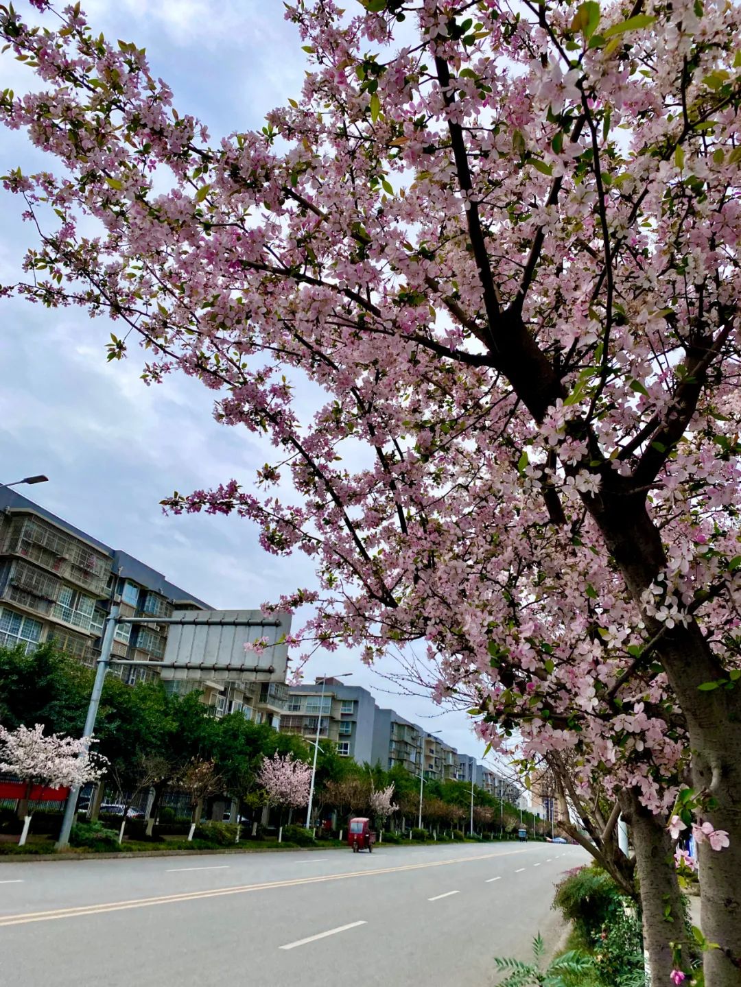 什邡风景好看的地方,什邡附近比较有名的景色