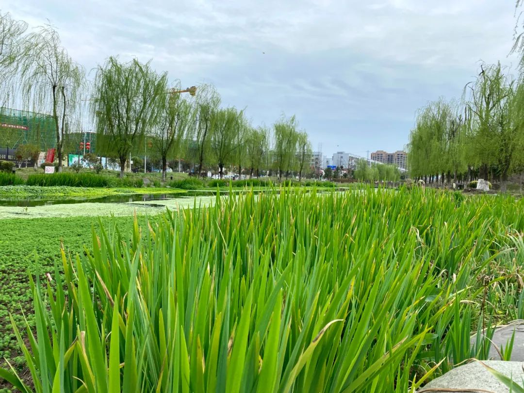 什邡风景好看的地方,什邡附近比较有名的景色