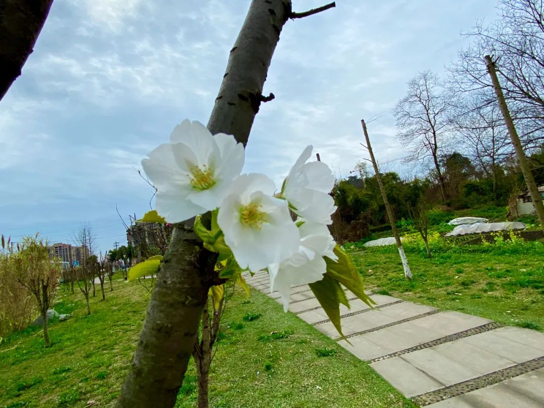 什邡风景好看的地方,什邡附近比较有名的景色