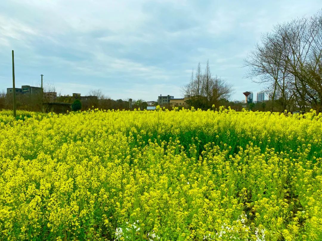 什邡风景好看的地方,什邡附近比较有名的景色
